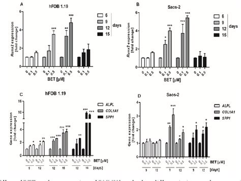 Figure From Betulin Promotes Differentiation Of Human Osteoblasts In