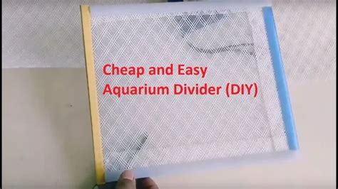 How To Make An Aquarium Tank Divider A Step By Step Guide