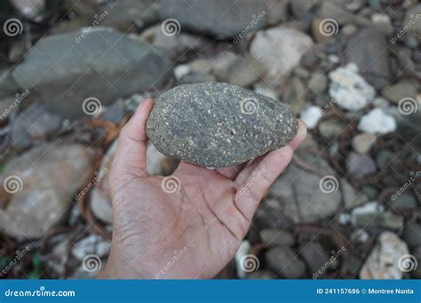 Geologist S Hand Holds A Specimen Of Andesite Extrusive Volcanic Rock