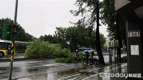 快訊／北市豪雨狂炸路樹倒塌 中山北路雙線車道封閉搶通中 Ettoday社會新聞 Ettoday新聞雲