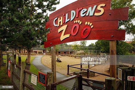 Chessington Zoo Photos and Premium High Res Pictures - Getty Images