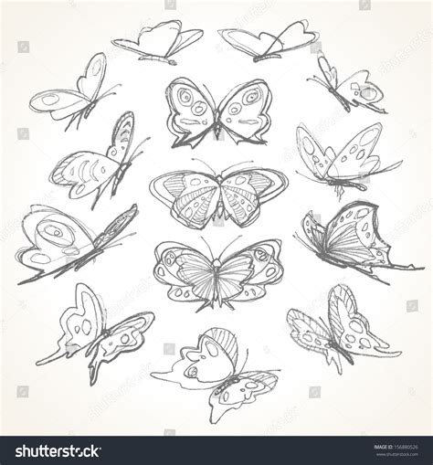 Set Hand Drawn Butterflies Pencil Sketch Stock Vector Royalty Free 156880526 Shutterstock