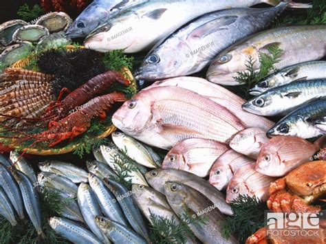 Fishery Products Stock Photo Picture And Royalty Free Image Pic Szj