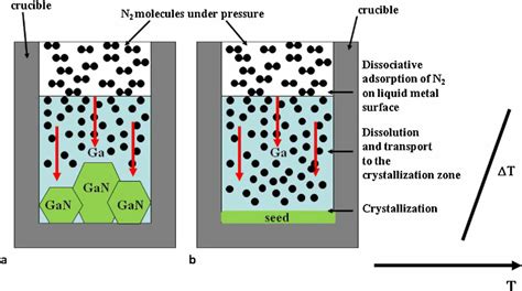 Color Online Schematic Illustration Of The Crystallization Process In