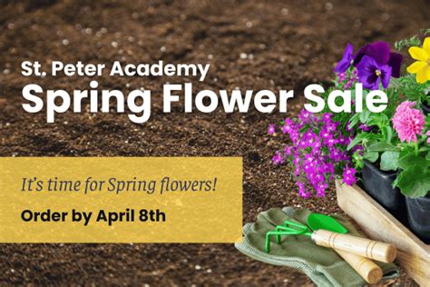 St Peter Academy Spring Flower Sale — St Peter The Apostle Roman