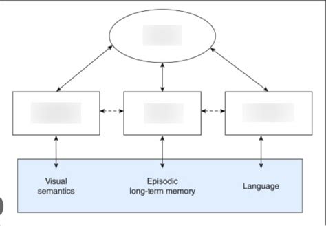 Cognitive Psych Diagram Quizlet