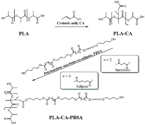 Scheme 1 Schematic Presentation Of The Most Likely Crotonic Acid