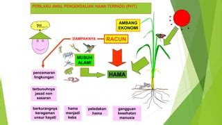 Pengendalian Opt Pada Tanaman Padi Melalui Pendekatan Pht Ppt