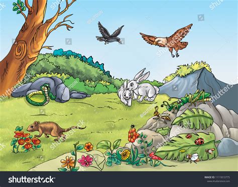 Forest Snake Rat Rabbit Insect Illustration Stock Illustration