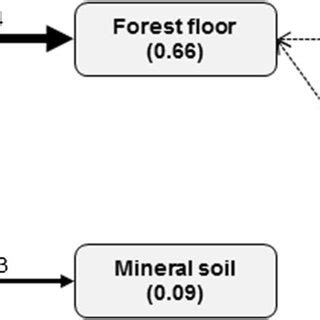 Structural Equation Models Depicting Casual Paths Of Uppermost Forest