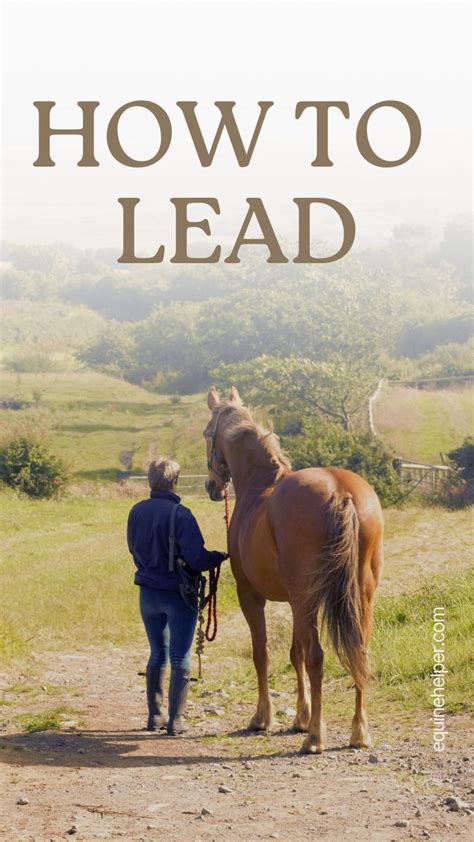 How to Lead a Horse: Beginner's Guide