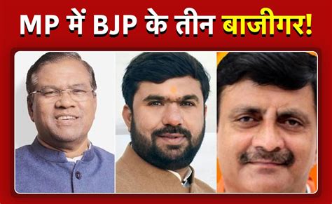 Election Result विधानसभा में हारे लेकिन लोकसभा में चमके Mp में बीजेपी