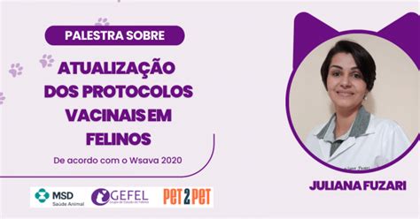 Atualização dos Protocolos Vacinais em Felinos em Belo Horizonte Sympla