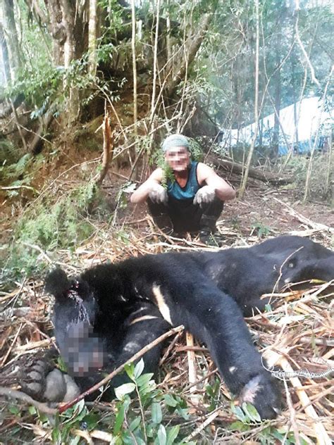 自由日日shoot》殺熊合影慶祝 山老鼠集團主謀病死深山 社會 自由時報電子報