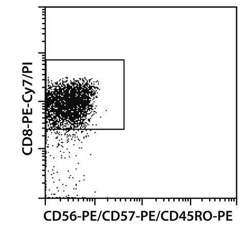 Naive Cd8 T Cell Isolation Kit Human Miltenyi Biotec Usa