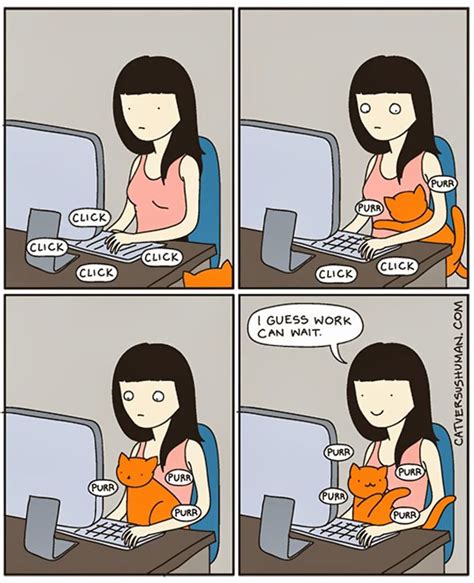 15 Hilarious Comic Strips Every Cat Owner Will Understand