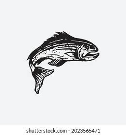 Salmon Fish Drawing Creative Design Stock Vector (Royalty Free) 2023565471 | Shutterstock