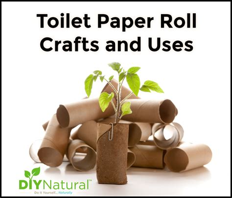 Toilet Paper Roll Crafts: 25 Ideas for Crafts and Other Creative Uses