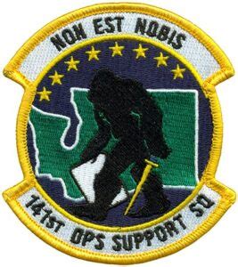 141st OPERATIONS SUPPORT SQUADRON Flightline Insignia