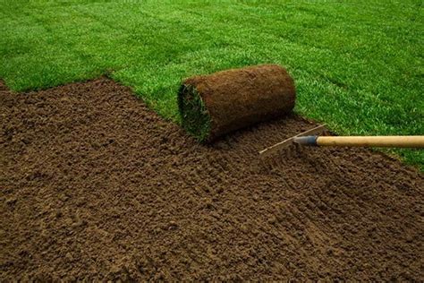 Best Topsoil Guide How To Buy Use Topsoil AWBS