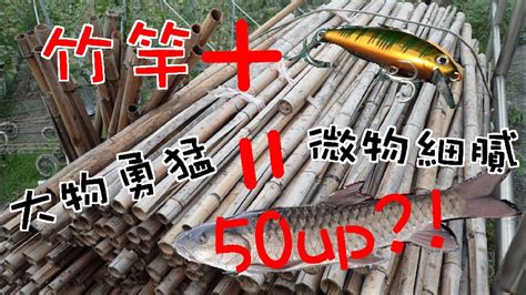 波爸釣魚趣 路亞竹竿博得了大魚？ Taiwanlure溪釣軍魚捲仔何氏棘魞 201809 Youtube