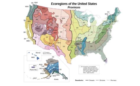 GIS Flashcards Quizlet