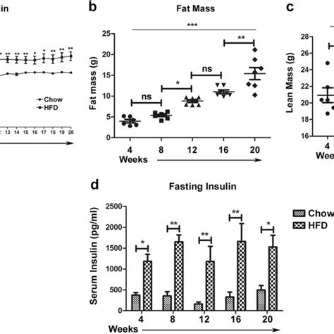 HFD Fed Mice Display Progressive Obese Phenotypes In Temporal Metabolic