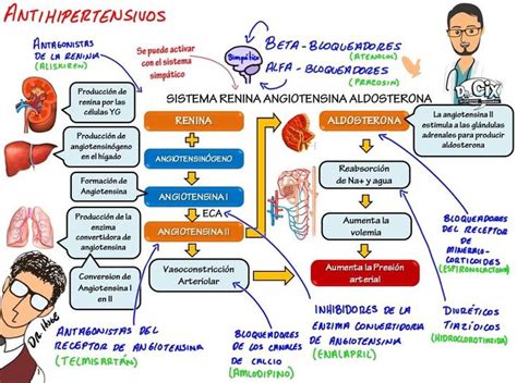 Antihipertensivos Dr Huge Radillo Dr Cix Dr Huge Fb Enfermería