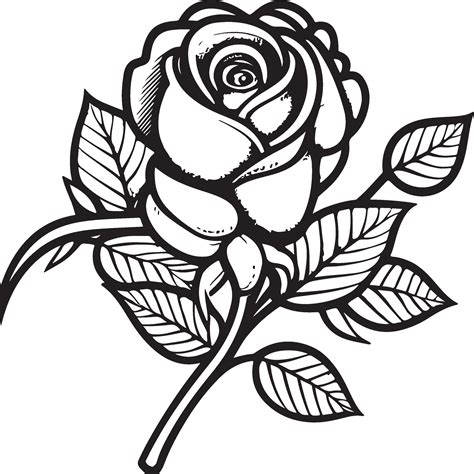 Rose Flower Clipart Black White Images. Hand drawn roses. Sketch rose flowers with leaves ...