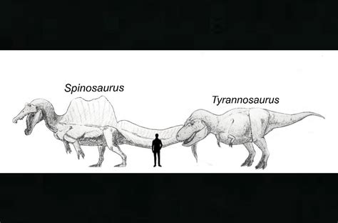 Dinosaurs size comparison ver.2 by nogain98 on DeviantArt