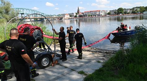 Śnięte ryby w kolejnej polskiej rzece Władze apelują do mieszkańców