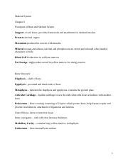 Skeletal System Ch 6 Notes 1 Docx Skeletal System Chapter 6