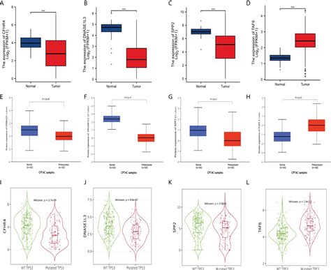 Frontiers Signature Construction And Molecular Subtype Identification