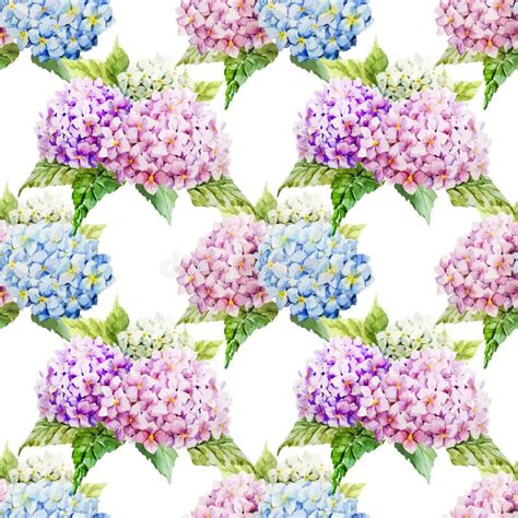 Hydrangea Pattern Stock Vector Illustration Of Design 50177765