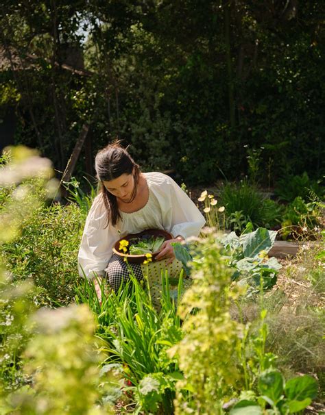 How To Start A Vegetable Garden In Any Type Of Backyard Wsj