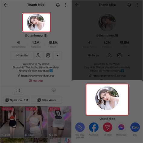 500 hình ảnh idol tiktok với những clip hot nhất trên mạng