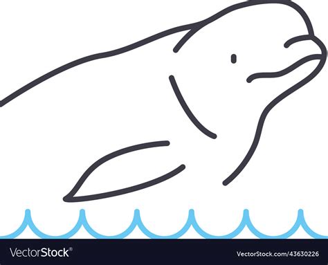 Beluga whale line icon outline symbol Royalty Free Vector