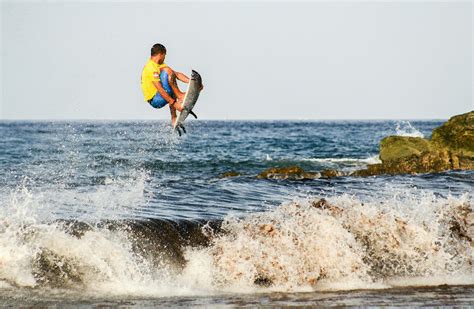 People Surfing on the Beach · Free Stock Photo