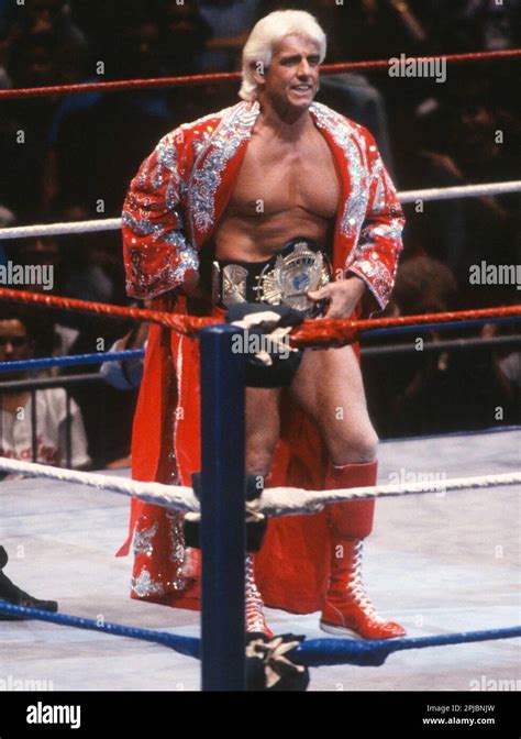 1991 Ric Flair Photo by John Barrett/PHOTOlink Stock Photo - Alamy