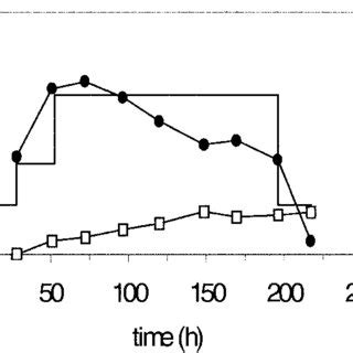 Glucose And Ethanol Concentrations During The Biomass Attachment