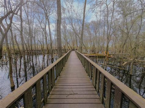 Mingo National Wildlife Refuge In Missouri With Time To Kill