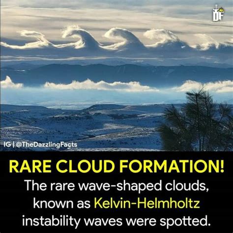 The Weird And Wonderful World Unbelievable Facts You Wont Believe 37