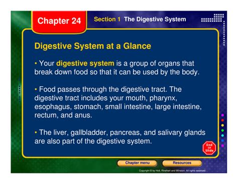 Digestive System At A Glance Chapter 24