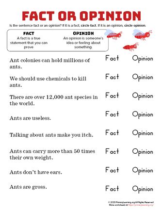 Ant Facts And Opinions PrimaryLearning Org