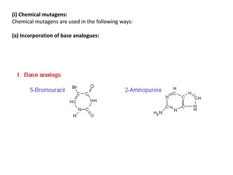 Molecular Mechanism Of Induced Mutations PPT