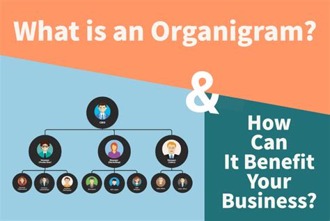 What Is An Organigram And How To Use It For Your Business