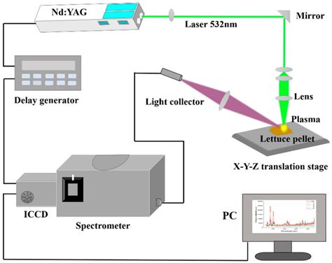 Schematic Diagram Of The Laser Induced Breakdown Spectroscopy Libs Download Scientific