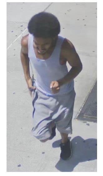 Nypd 28th Precinct On Twitter 🚨wanted🚨for Grand Larceny At Lenox Avenue And 126th Street