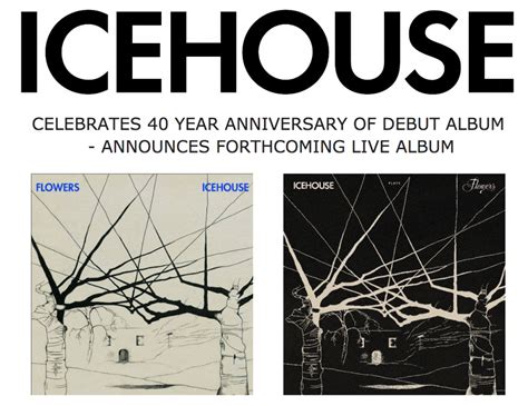 Icehouse Celebrates 40 Year Anniversary Of Debut Album Announces Forthcoming Live Album