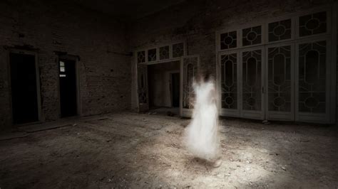 Teresa Fidalgo - The Death, Haunting and Viral Ghost